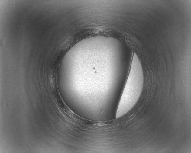 X0000056020607200508190922