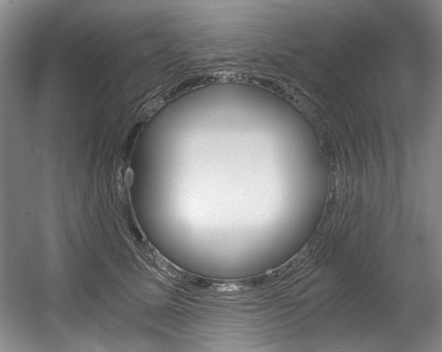 X0000056020611200508190922