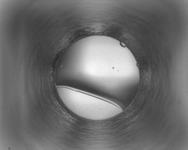 X0000056020612200508190922
