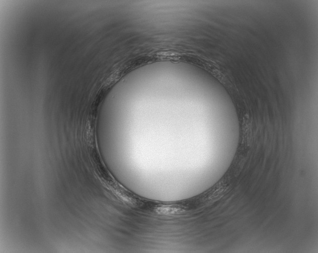 X0000056020614200508190922