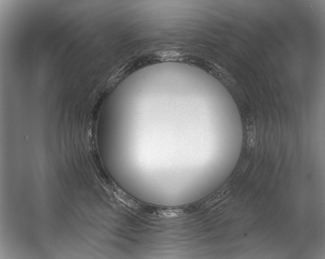 X0000056020618200508190922