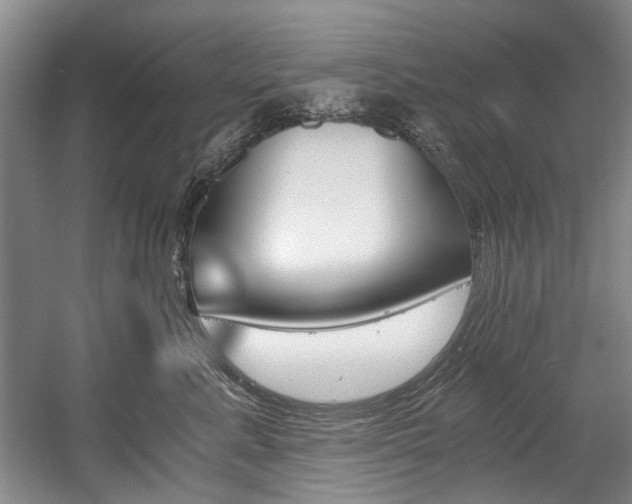 X0000056020619200508190922