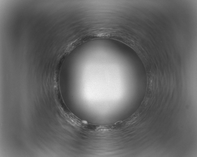 X0000056020620200508190922