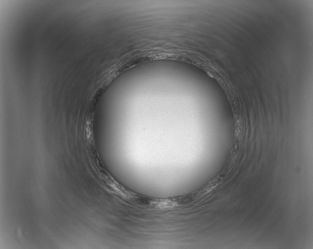 X0000056020621200508190922