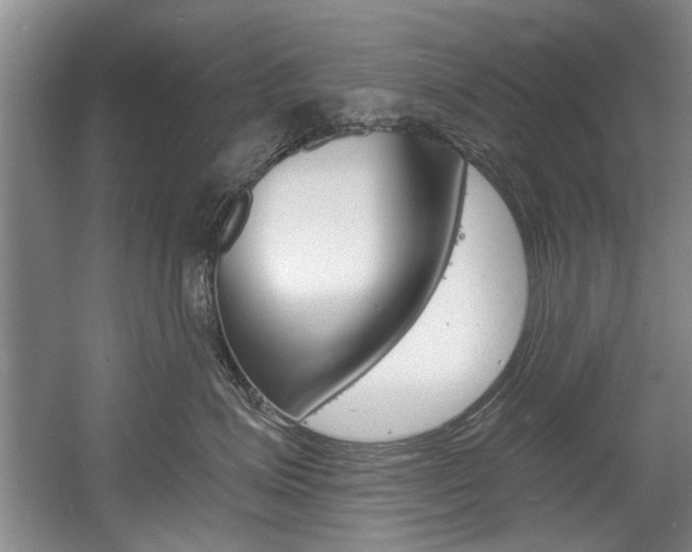 X0000056020623200508190922