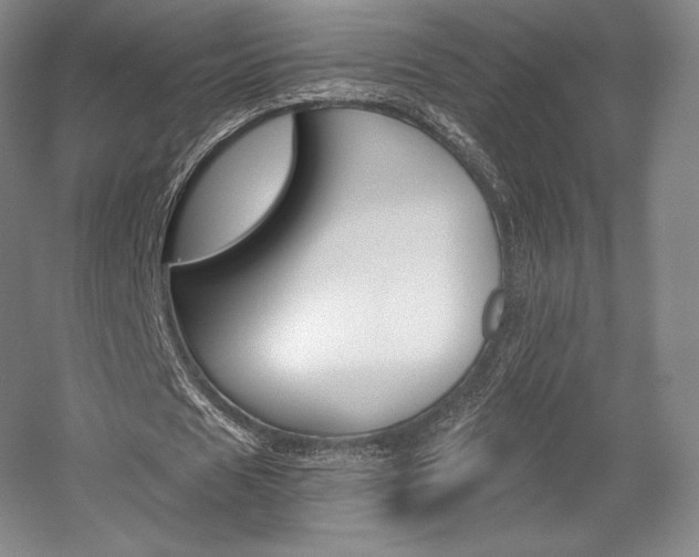 X0000056020625200508190921
