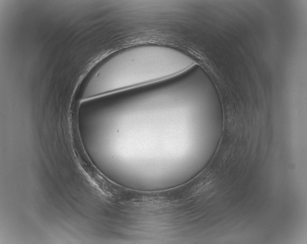 X0000056020626200508190921