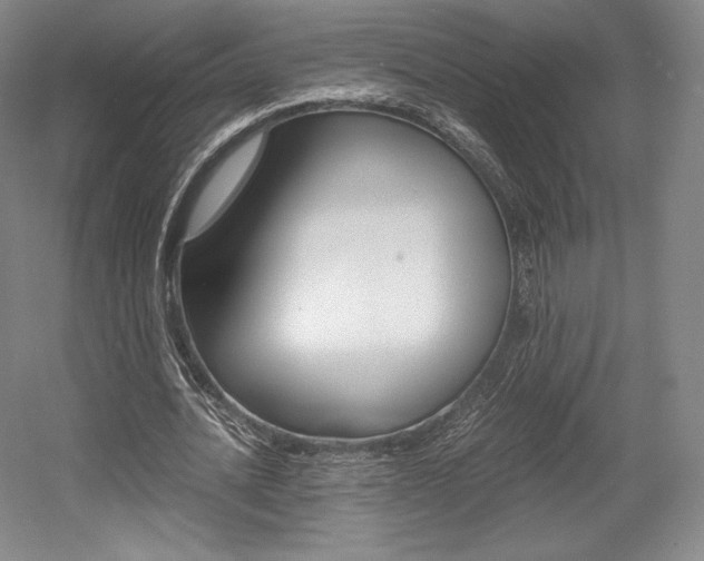 X0000056020628200508190921