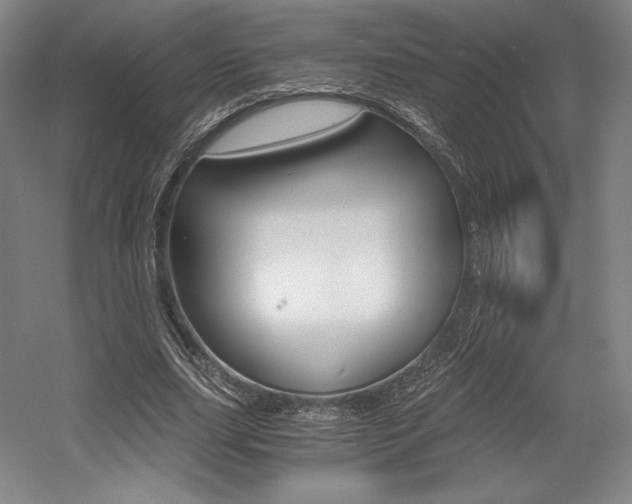 X0000056020631200508190921