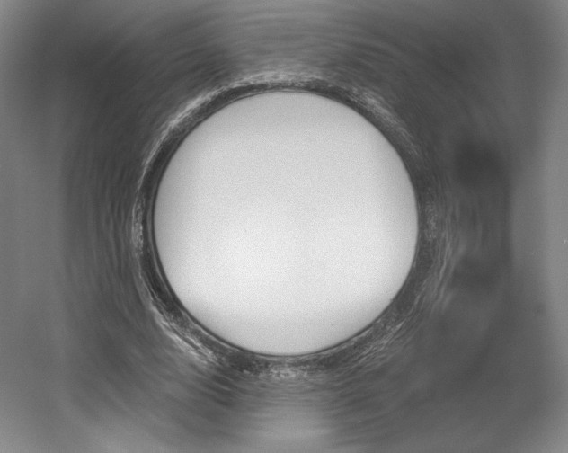 X0000056020632200508190921
