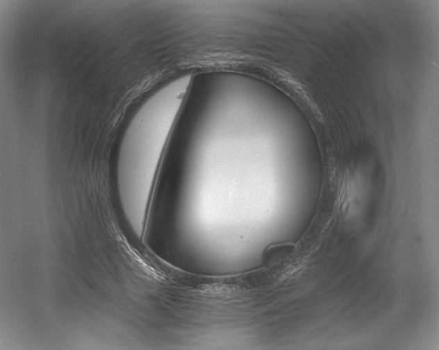 X0000056020633200508190921
