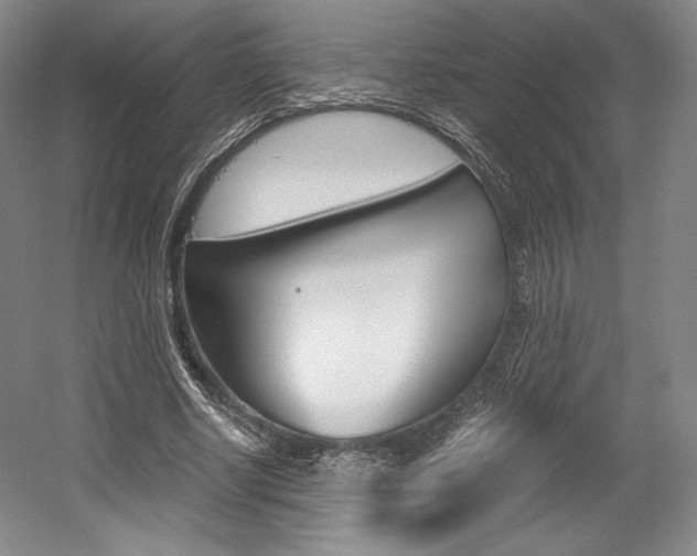 X0000056020634200508190921