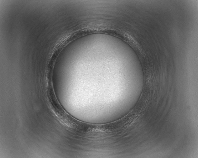 X0000056020635200508190921