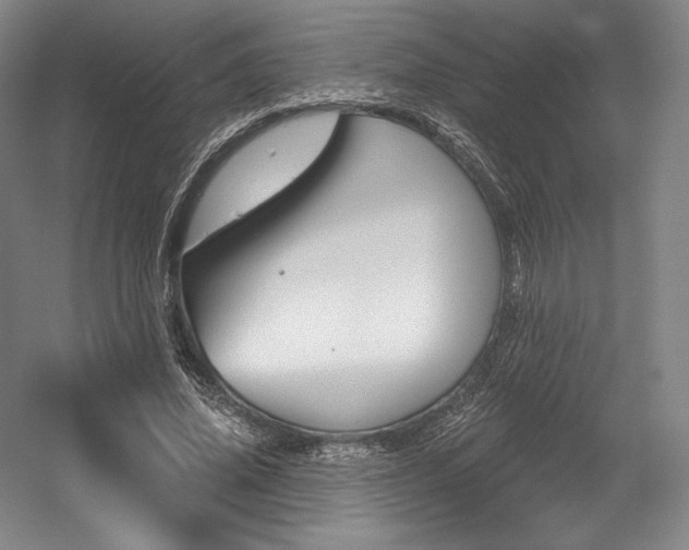 X0000056020636200508190921