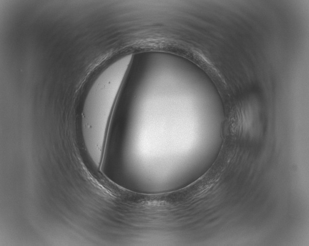 X0000056020637200508190921
