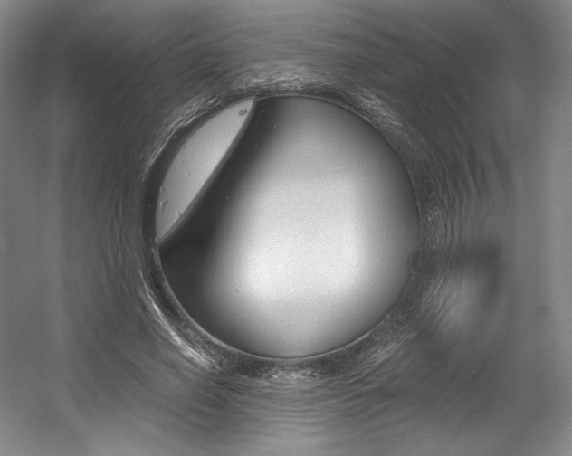 X0000056020638200508190921