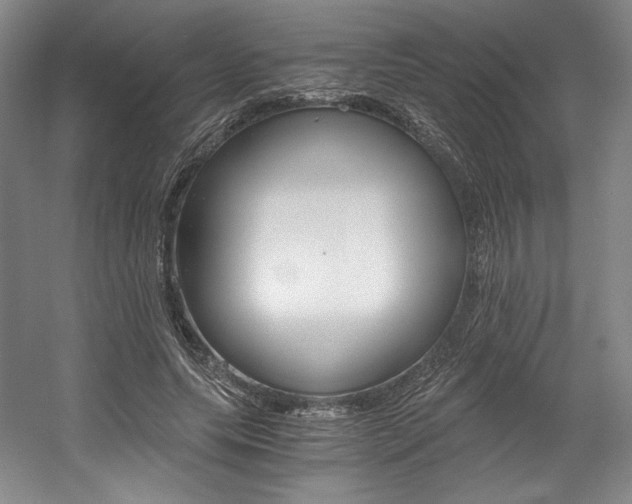 X0000056020639200508190921