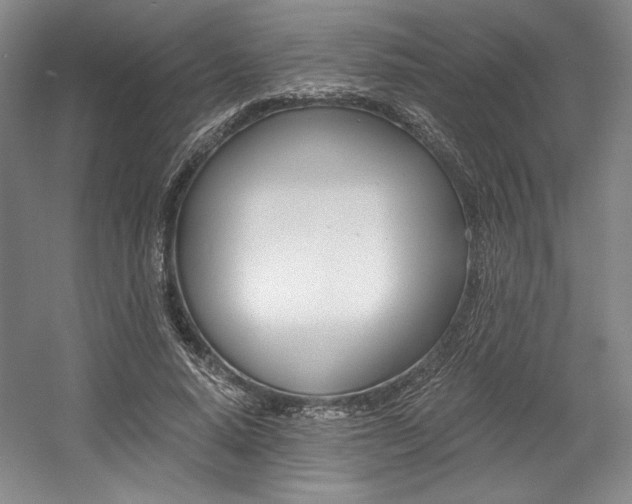 X0000056020640200508190921