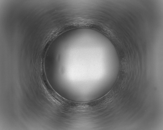 X0000056020642200508190921