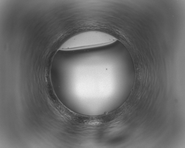 X0000056020643200508190921