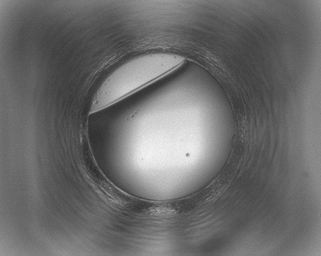 X0000056020644200508190921