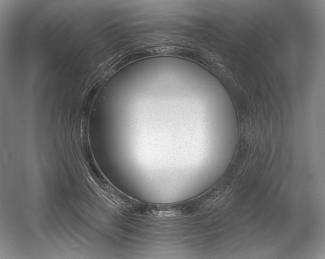 X0000056020645200508190921