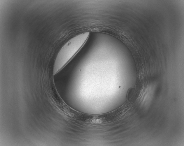 X0000056020647200508190921
