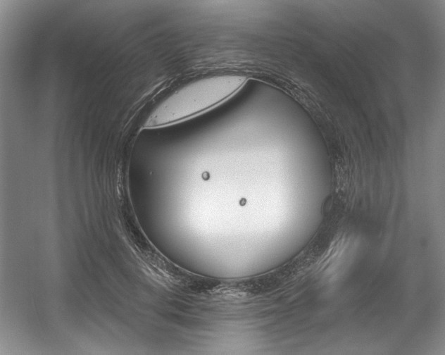 X0000056020648200508190921