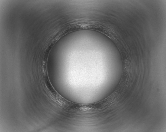 X0000056020650200508190921