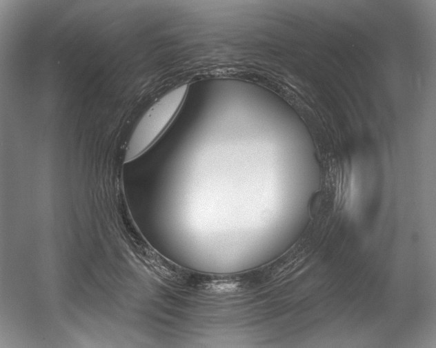 X0000056020651200508190921