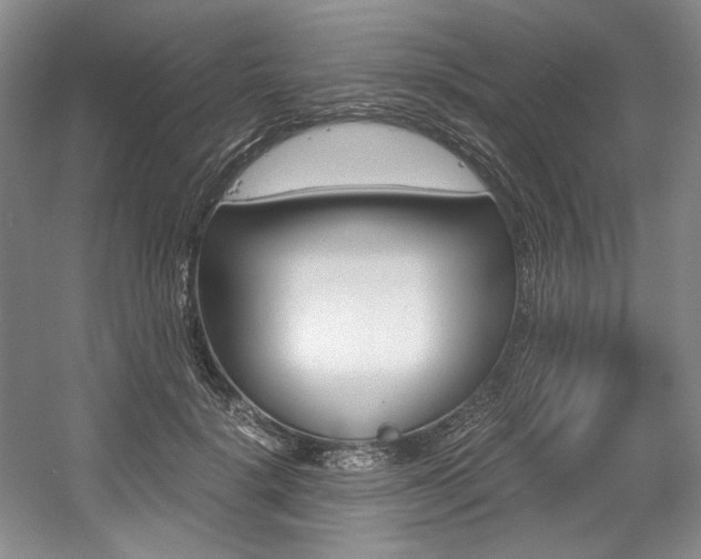 X0000056020652200508190921