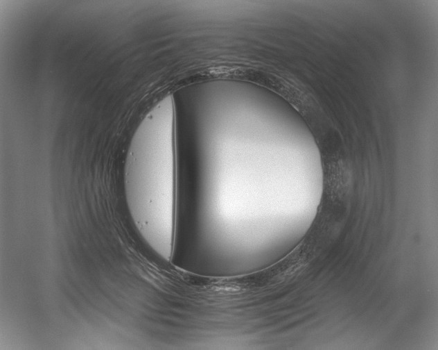 X0000056020653200508190921