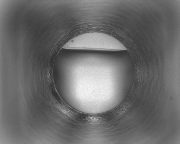 X0000056020654200508190921