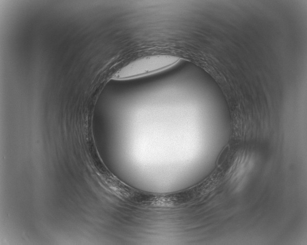 X0000056020656200508190921