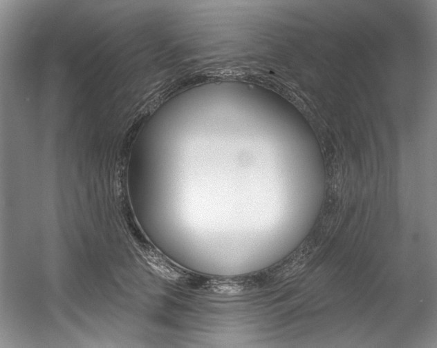 X0000056020658200508190921