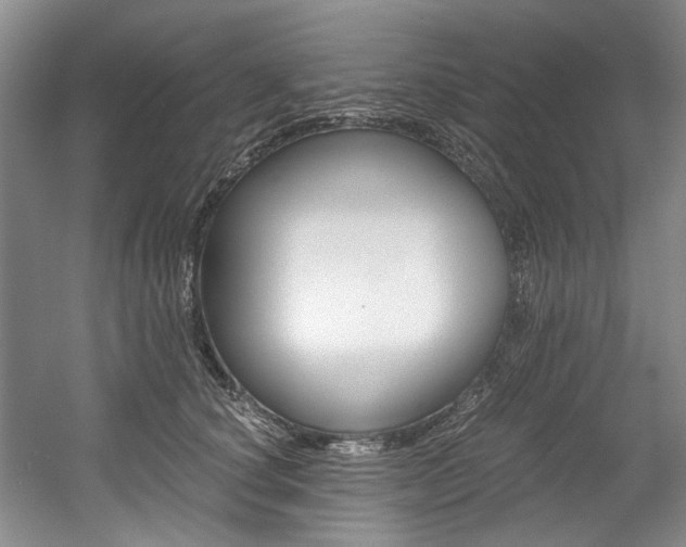 X0000056020660200508190921