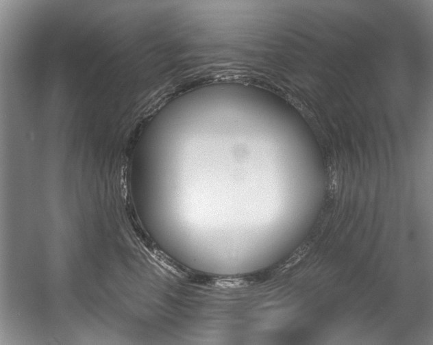 X0000056020666200508190921