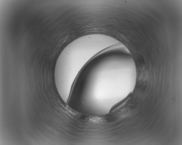 X0000056020669200508190922