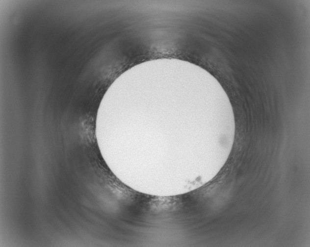 X0000056020672200508190922