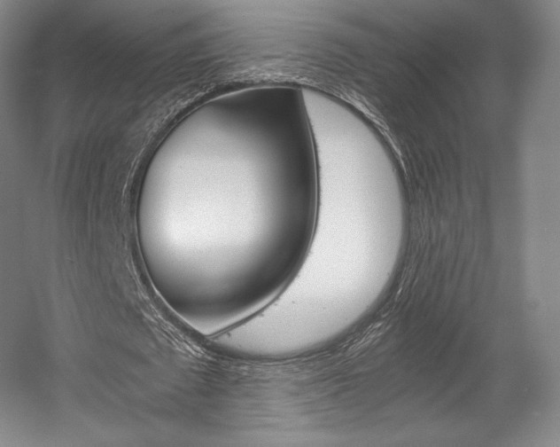 X0000056020673200508190921