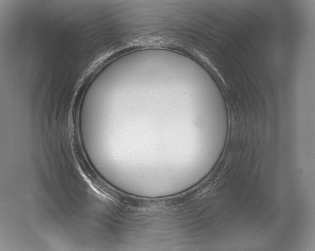 X0000056020674200508190921