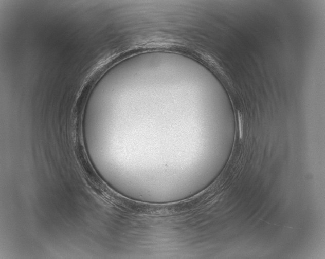 X0000056020675200508190921