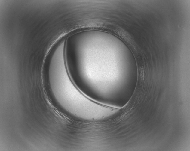 X0000056020676200508190921