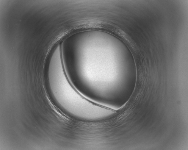 X0000056020677200508190921
