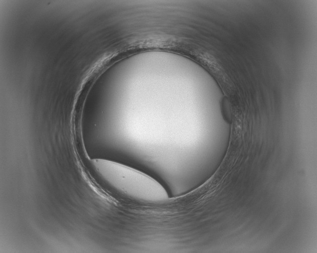 X0000056020678200508190921