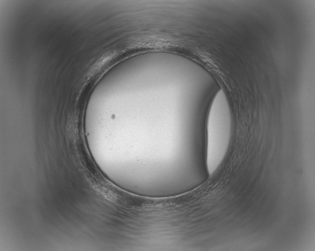 X0000056020679200508190921