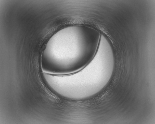 X0000056020681200508190921