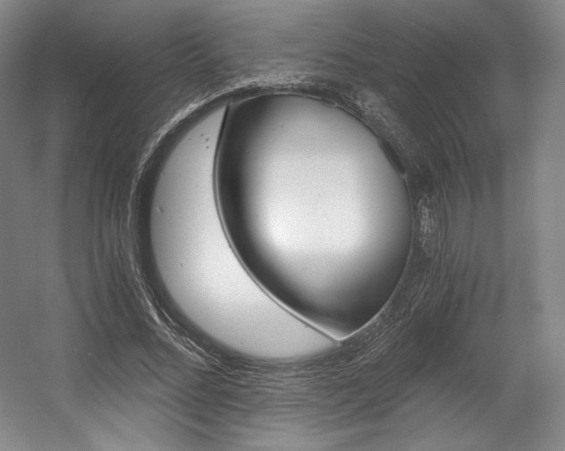 X0000056020684200508190921