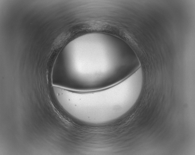 X0000056020685200508190921
