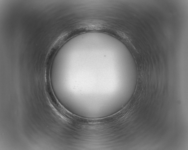 X0000056020686200508190921
